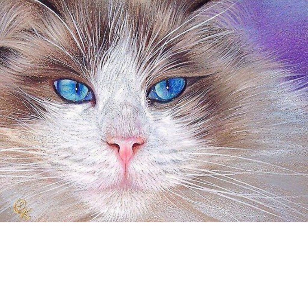BLUE EYED CAT Diamond Painting Kit - DAZZLE CRAFTER