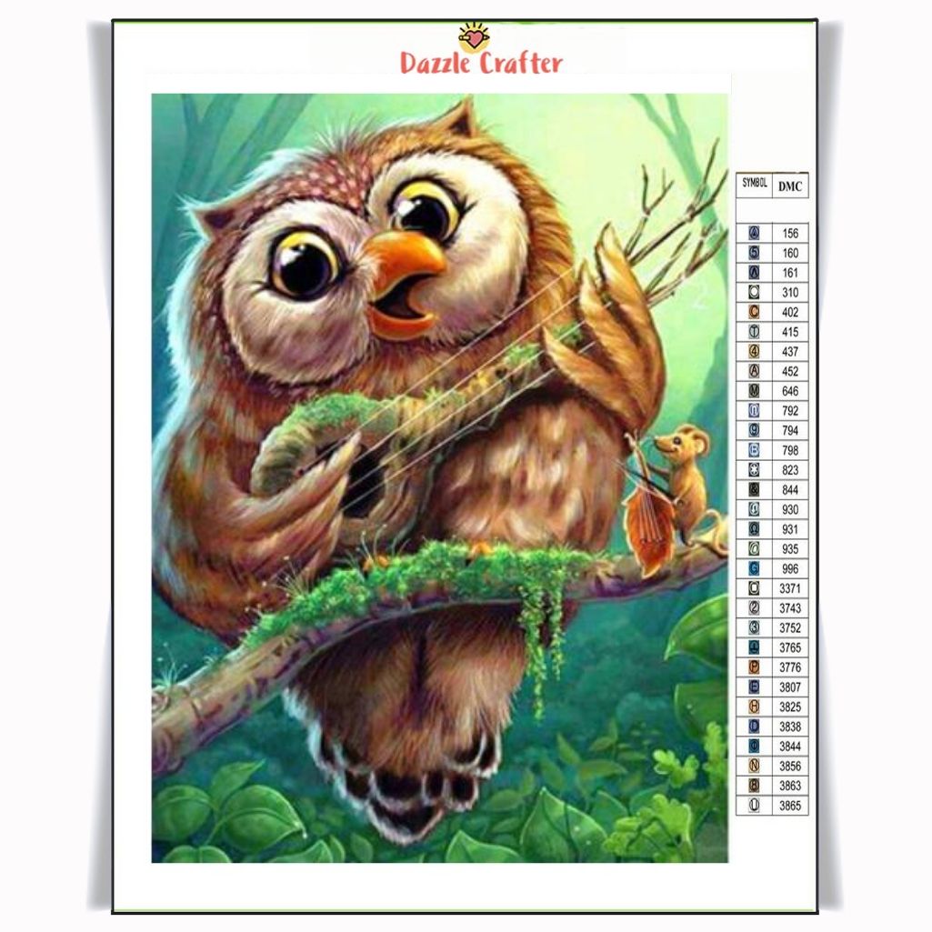 OWL PLAYING GUITAR Diamond Painting Kit