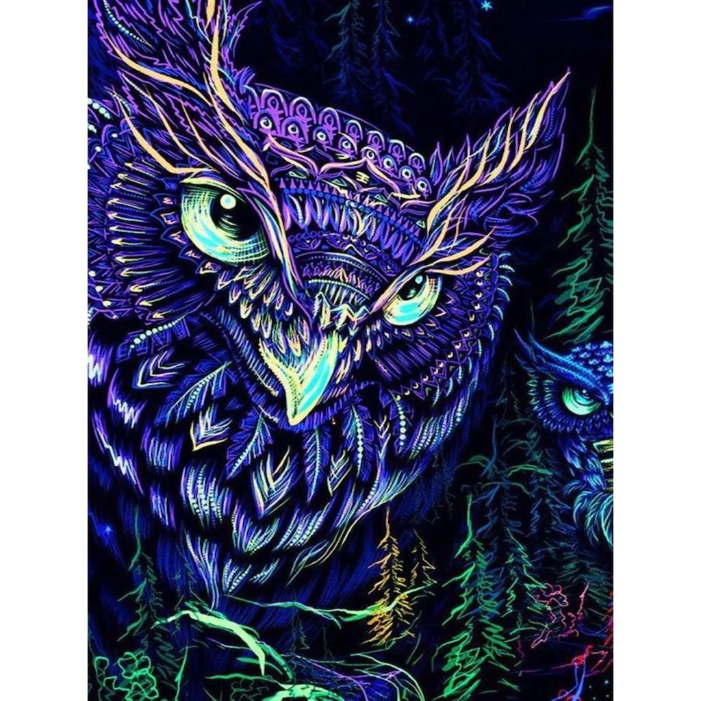 GAZING PURPLE OWL Diamond Painting Kit