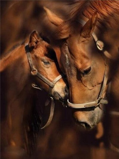 BEAUTIFUL HORSES SERIES Diamond Painting Kit - DAZZLE CRAFTER