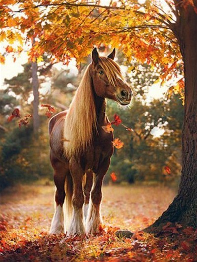BEAUTIFUL HORSES SERIES Diamond Painting Kit - DAZZLE CRAFTER