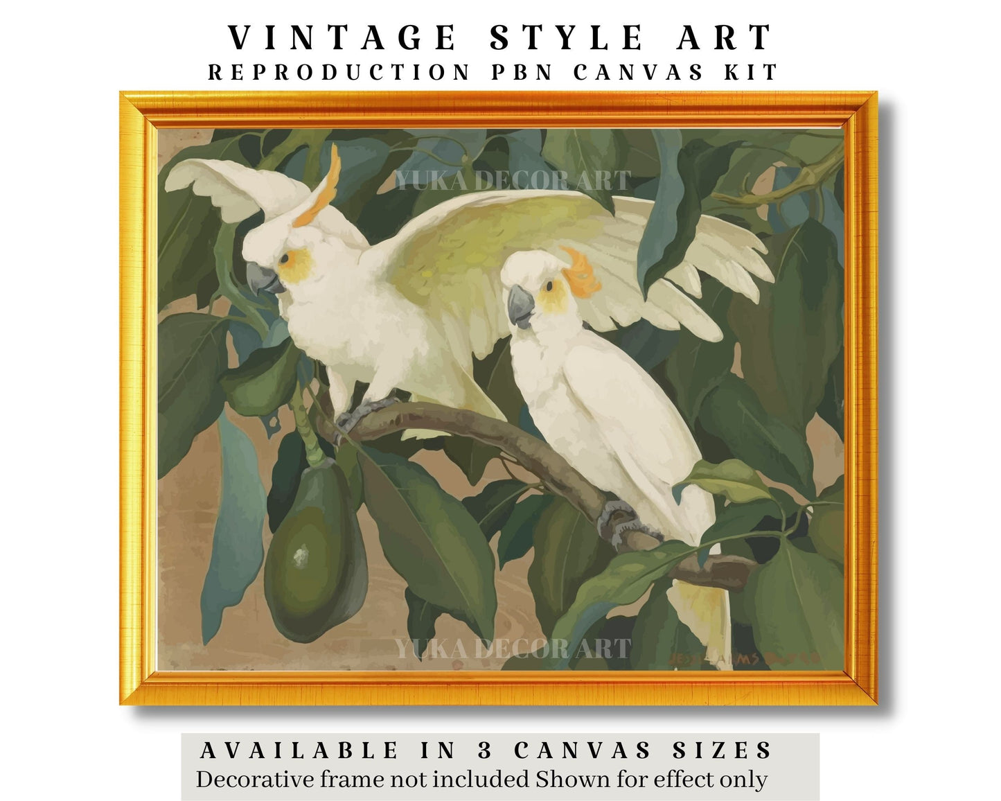 Sulphur Crest White Cockatoo PAINT by NUMBER Premium DIY Paint Kit Adult , Vintage Style Easy Beginner Painting Gift