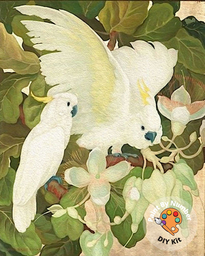 Tropical Garden PAINT by NUMBER Premium DIY Paint Kit Adult , Yellow CockatooVintage Style Easy Beginner Painting Gift