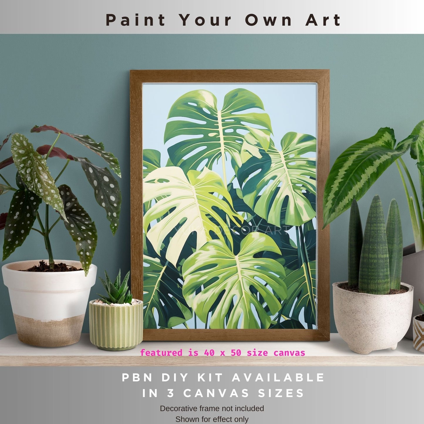 Monstera PAINT by NUMBERS Adult ,Home Indoor Plants Still life ,Beginners Easy Paint Kit DIY Wall Decor Gift  Mom Grandmom