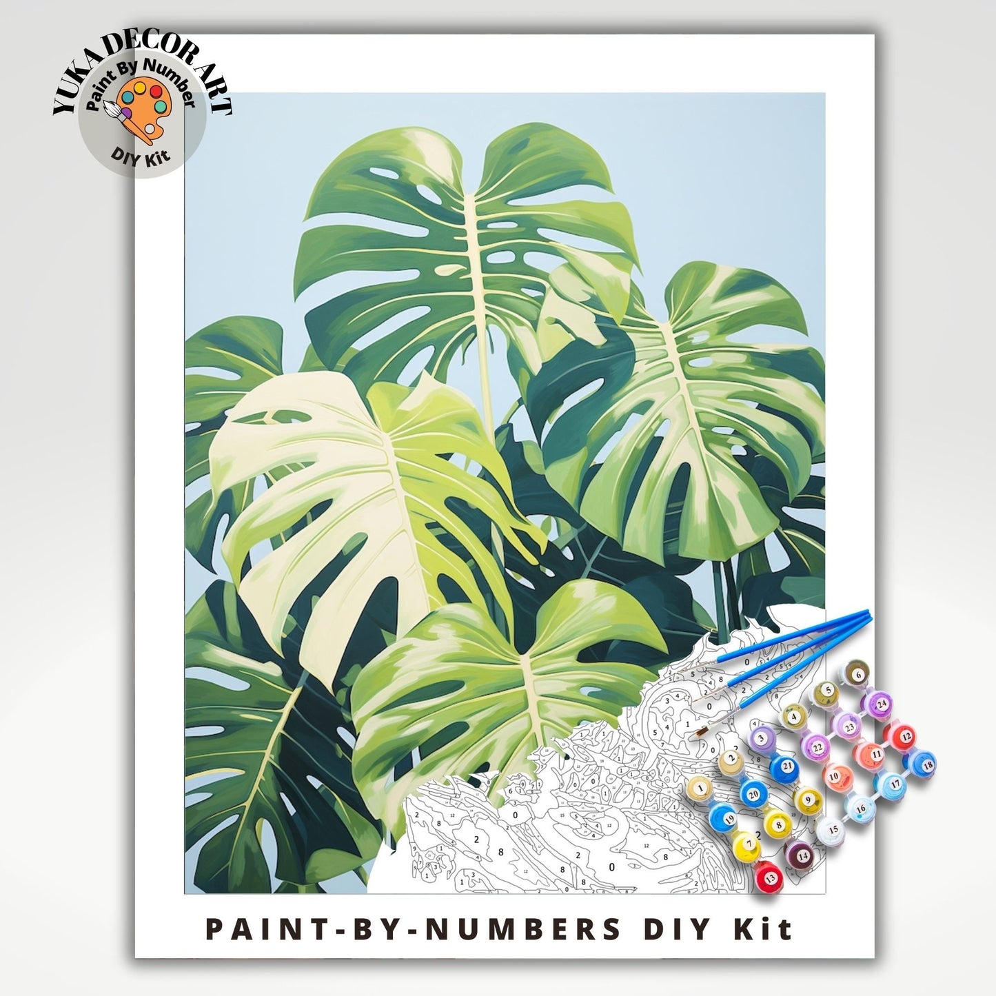 Monstera PAINT by NUMBERS Adult ,Home Indoor Plants Still life ,Beginners Easy Paint Kit DIY Wall Decor Gift  Mom Grandmom
