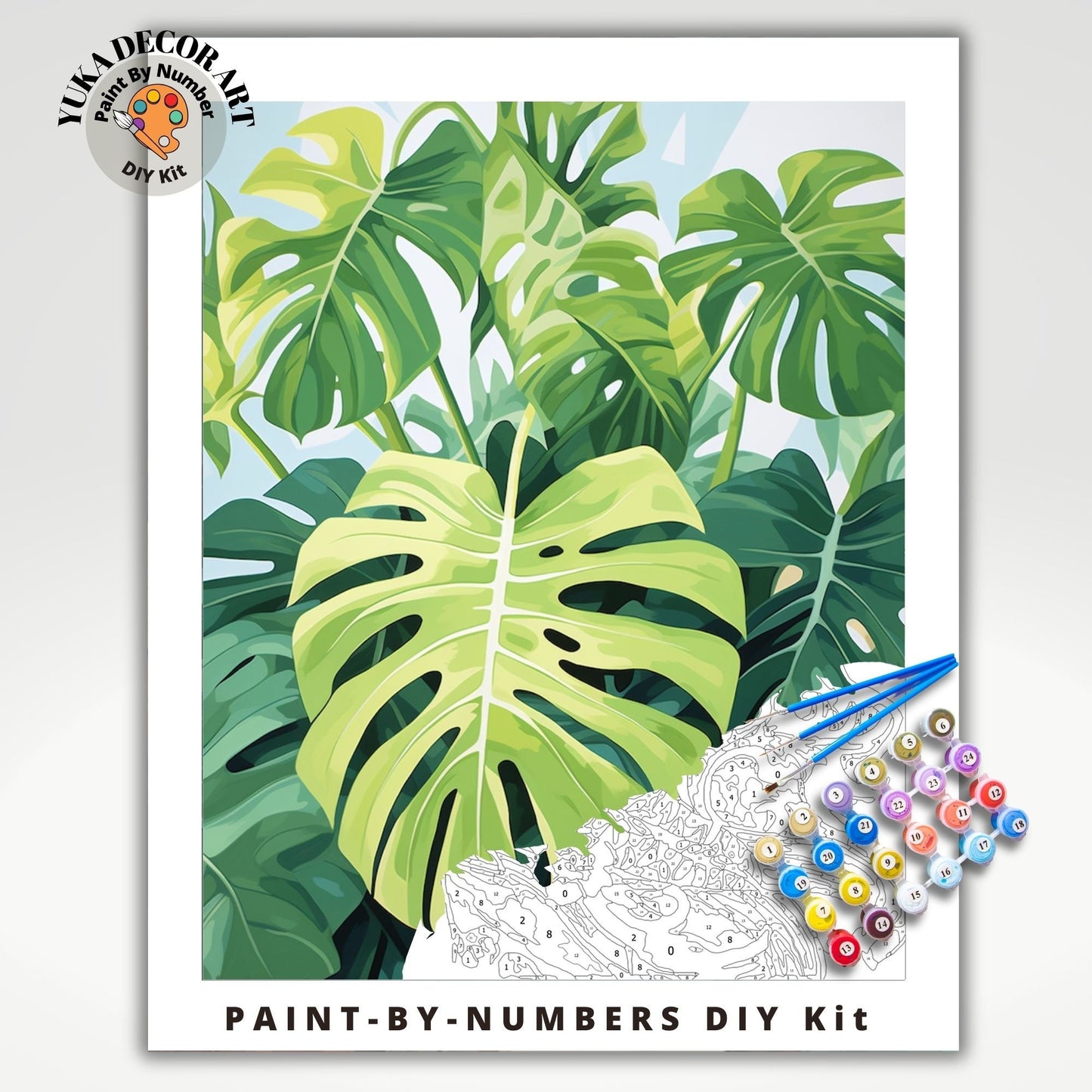 Monstera PAINT by NUMBERS Adult ,Home Indoor Plants Still life ,Beginners Easy Paint Kit DIY Wall Decor Gift  Mom Grandmom