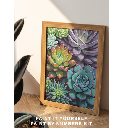 Succulents Garden Paint by Number Kit Adult, Canvas Painting ,DIY Color by Numbers Set, Easy DIY Beginners Painting Kit ,Home Decor