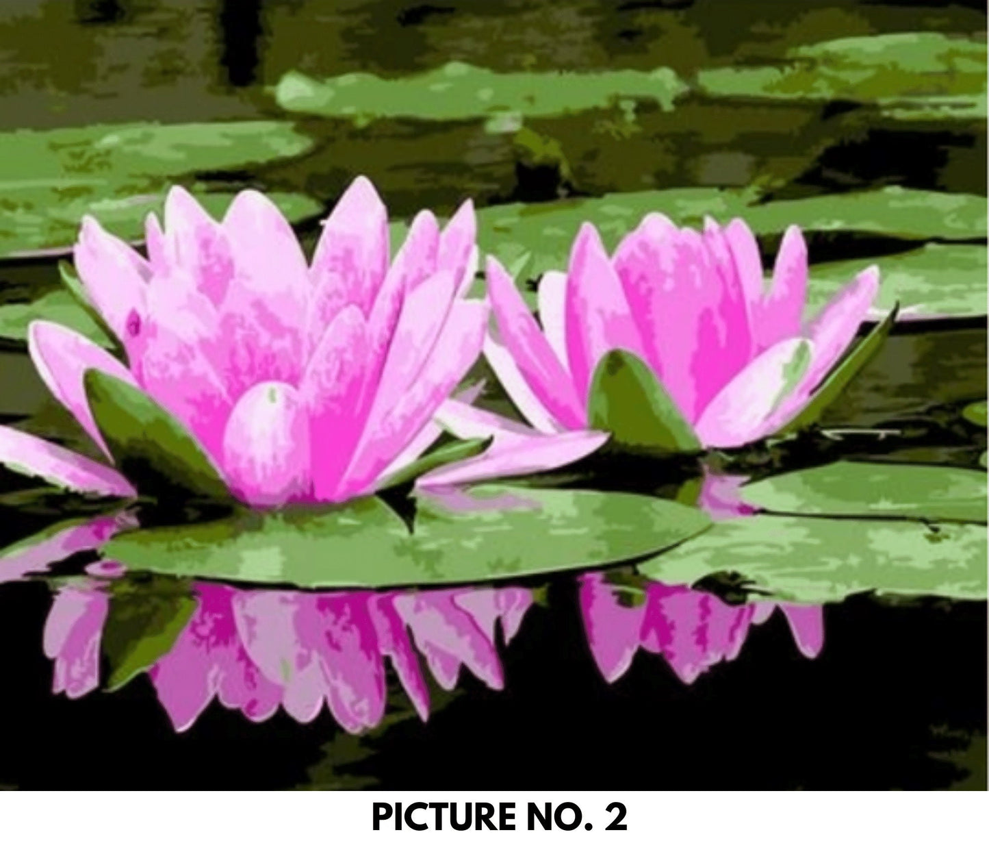 Paint by Numbers Kit for Adults & Kids Easy DIY Art Kit, Yellow Pink Water Lilies Garden Flowers Adults Acrylic Painting Kit  - Home Decor