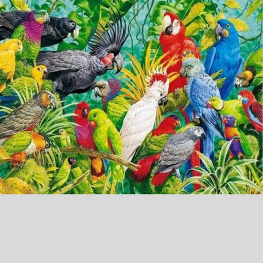 COLORFUL BIRDS Diamond Painting Kit - DAZZLE CRAFTER