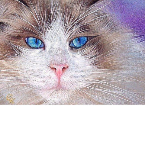 Image of BLUE EYED CAT  Diamond Painting Kit - DAZZLE CRAFTER