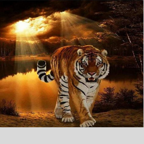 Image of TIGER IN THE SUNSET Diamond Painting Kit - DAZZLE CRAFTER