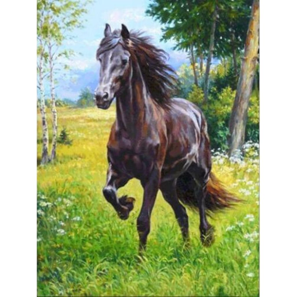 HORSE IN THE VALLEY Diamond Painting Kit