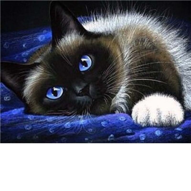 SERENE BEAUTY CAT Diamond Painting Kit - DAZZLE CRAFTER