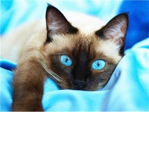 Image of BLUE EYED CAT Diamond Painting Kit - DAZZLE CRAFTER