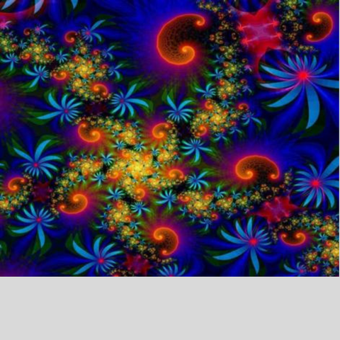 Image of SPARKLING FLOWERS Diamond Painting Kit - DAZZLE CRAFTER