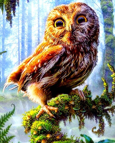 Image of OWL SERIES - Diamond painting Kit