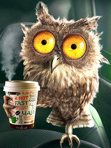 OWL SERIES - Diamond painting Kit