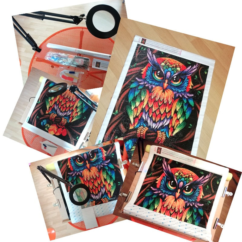 MULTICOLOR OWL Diamond Painting Kit – DAZZLE CRAFTER