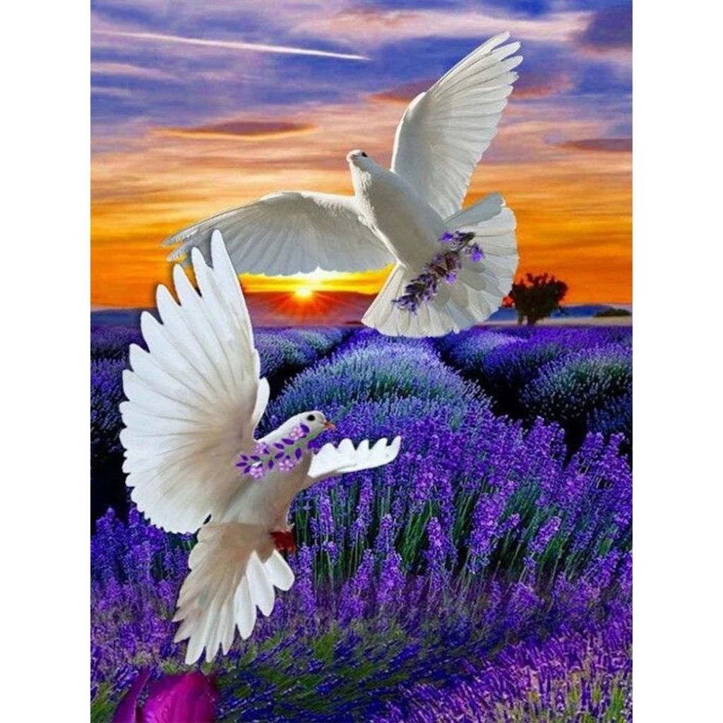 WHITE DOVES IN LILAC FLOWER FIELD  Diamond Painting Kit