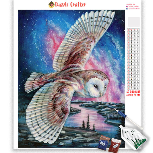 FLYING OWL PINK NIGHT SKY Diamond Painting Kit