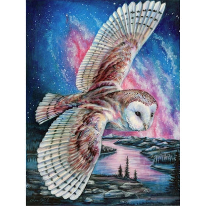 FLYING OWL PINK NIGHT SKY Diamond Painting Kit