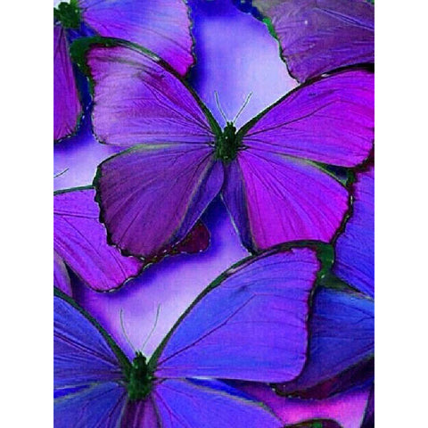 Image of VIOLET BEAUTIES BUTTERFLY Diamond Painting Kit