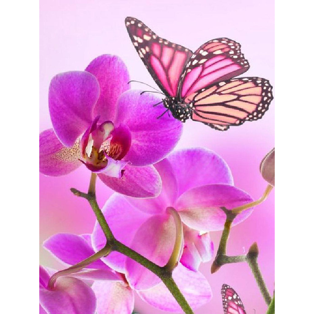 ORCHIDS AND PINK BUTTERFLY Diamond Painting Kit