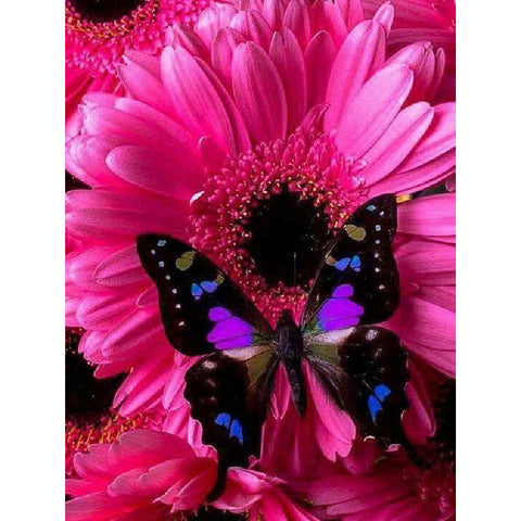 Image of PINK DAISY BUTTERFLY Diamond Painting Kit