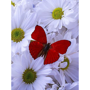 RED BUTTERFLY ON WHITE DAISIES Diamond Painting Kit