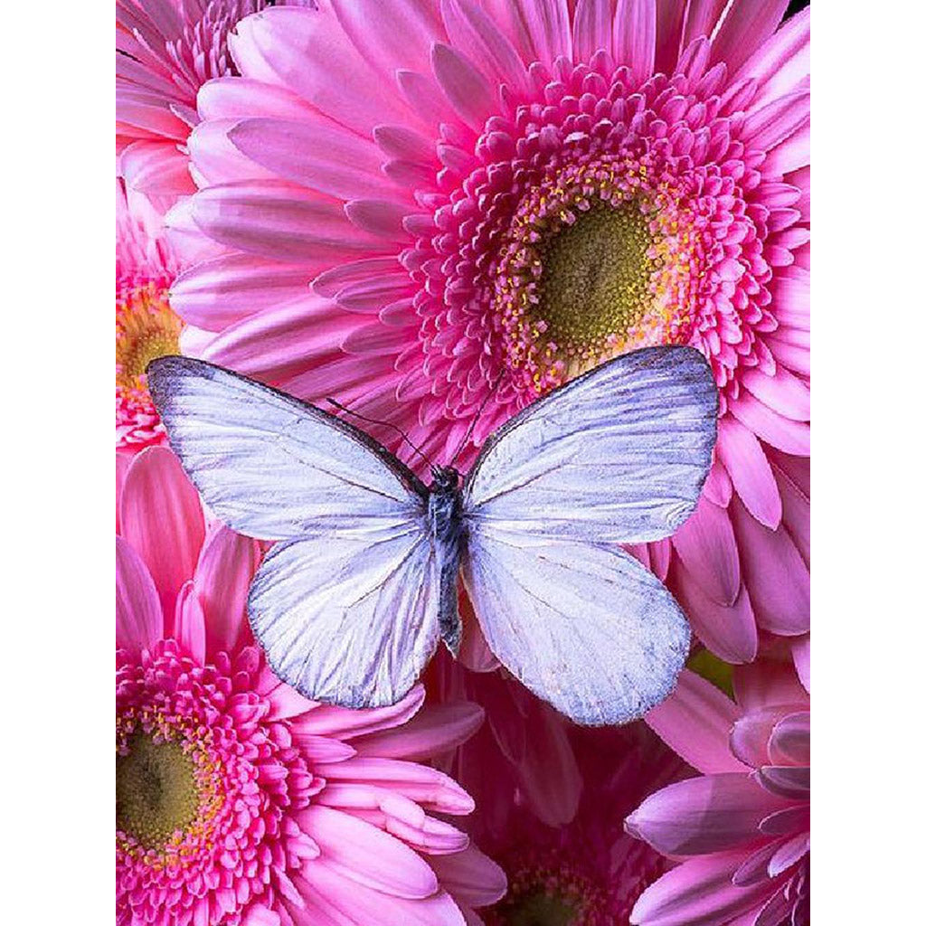 BUTTERFLY ON PINK DAISIES Diamond Painting Kit