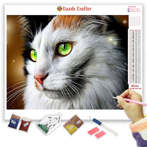 Image of CAT WITH GREEN EYES Diamond Painting Kit