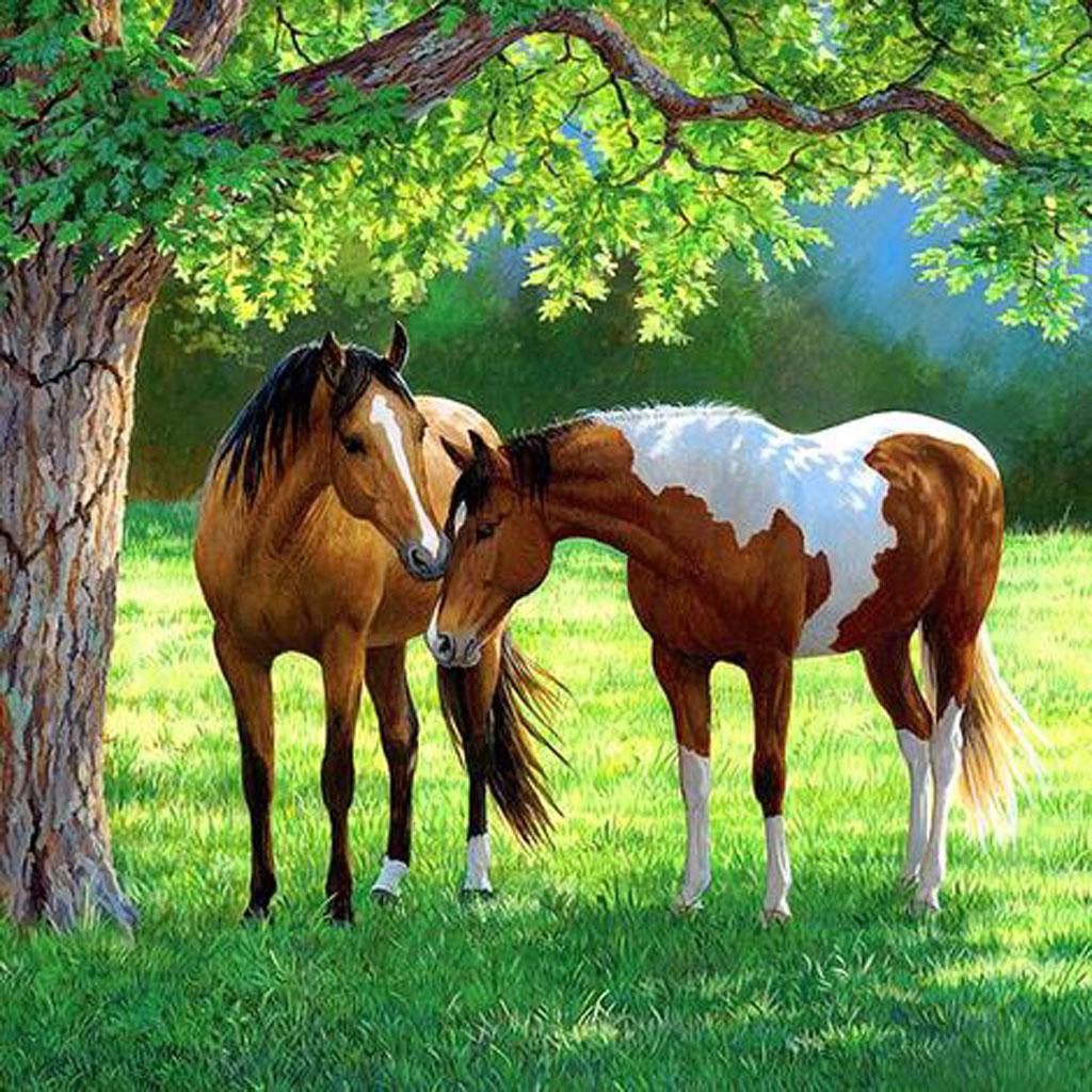 HANDSOME HORSES Diamond Painting Kit