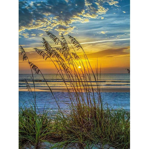 Image of WILD GRASS LAKE SUNSET Diamond Painting Kit