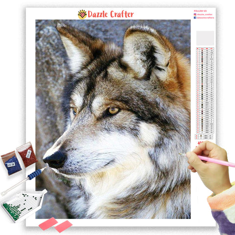Image of LONE WOLF Diamond Painting Kit