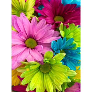 COLORFUL DAISY FLOWERS Diamond Painting Kit