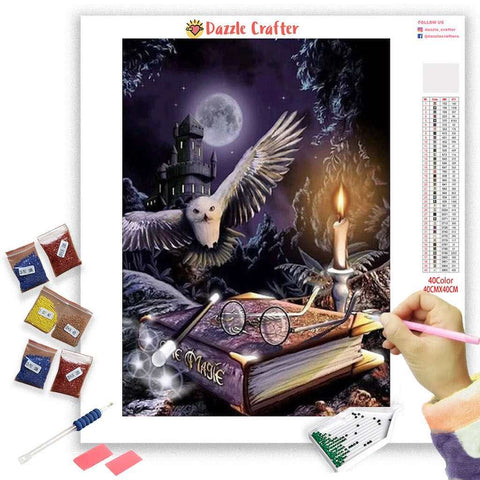 Image of OWL WITH HARRY POTTER Diamond Painting Kit