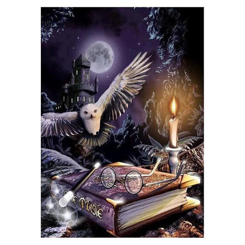 Image of OWL WITH HARRY POTTER Diamond Painting Kit