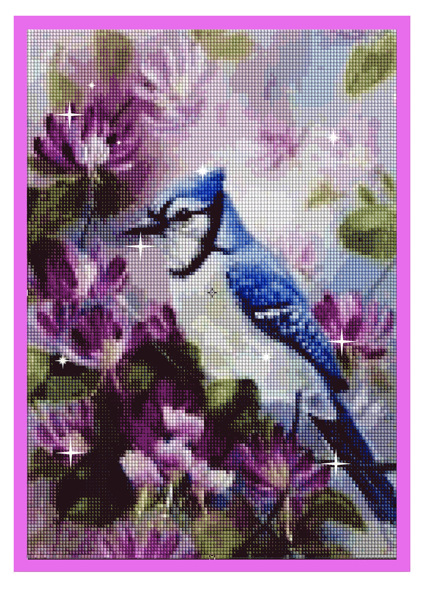 BEAUTIFUL BIRDS SERIES Diamond Painting Kit - DAZZLE CRAFTER