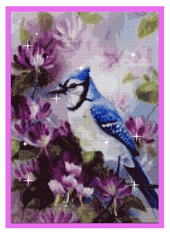 Image of BEAUTIFUL BIRDS SERIES Diamond Painting Kit - DAZZLE CRAFTER