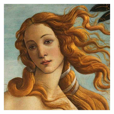 Image of VENUS LOVE GODDESS VINTAGE Diamond Painting Kit