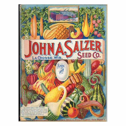 Image of GARDEN SEED PACKET VINTAGE Diamond Painting Kit