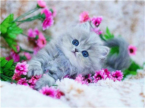 Image of SNOW WHITE CUTE KITTEN Diamond Painting Kit - DAZZLE CRAFTER