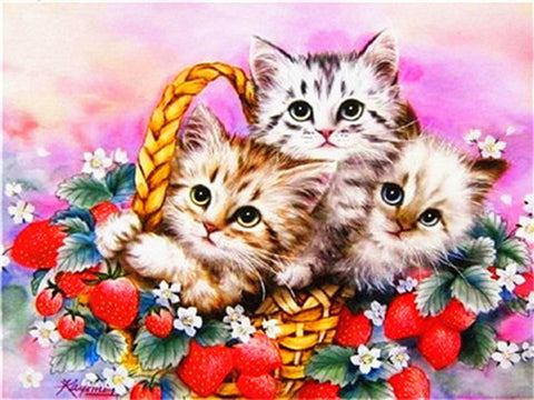 Image of ADORABLE KITTENS Diamond Painting Kit - DAZZLE CRAFTER