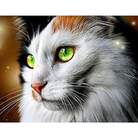 Image of CAT WITH GREEN EYES Diamond Painting Kit