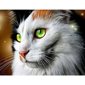CAT WITH GREEN EYES Diamond Painting Kit
