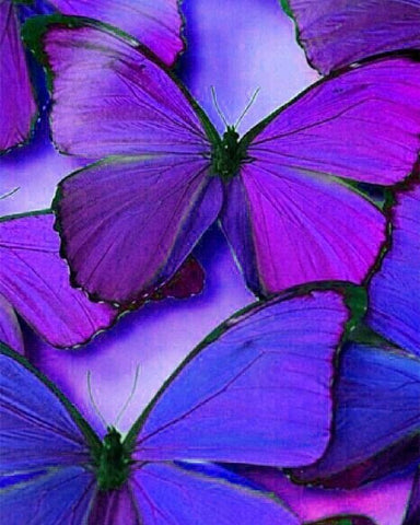 Image of Colorful Butterflies Diamond Painting Kit - DAZZLE CRAFTER