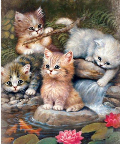 Image of Cute Kittens Diamond Painting Kit - DAZZLE CRAFTER