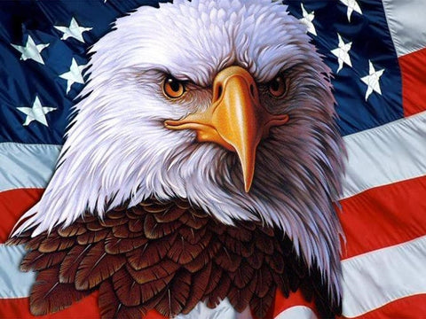 Image of AMERICAN EAGLE Diamond Painting Kit - DAZZLE CRAFTER