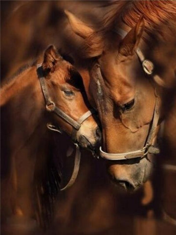 Image of BEAUTIFUL HORSES SERIES Diamond Painting Kit - DAZZLE CRAFTER