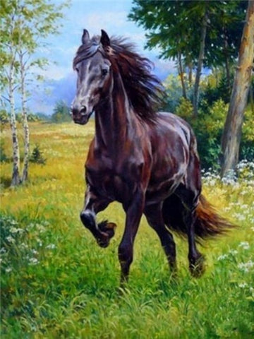 Image of BEAUTIFUL HORSES SERIES Diamond Painting Kit - DAZZLE CRAFTER